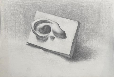 楊紫妤 - 鉛筆素描
