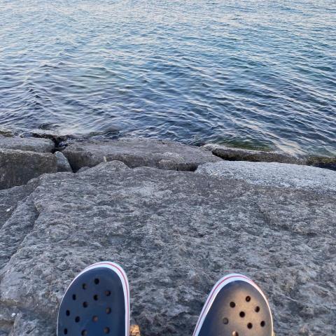 提供翻译i服務的專家Vincent Wu