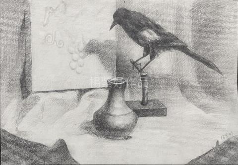 楊紫妤 - 鉛筆素描