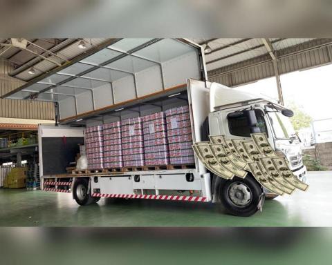 BW回頭車 - 整齊劃一就是療癒