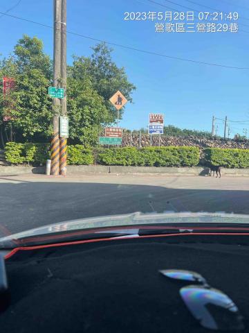 吳佳穎 -  新竹往鶯歌