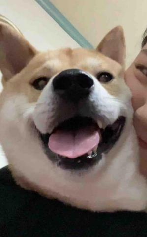 提供遛狗绳服務的專家Yuki