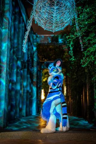 翔宇攝影商行 - 夜間打光拍攝 翔宇攝影商行 - 夜間打光拍攝