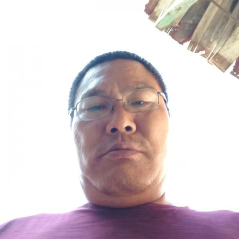 提供鋸樹服務的專家林書維