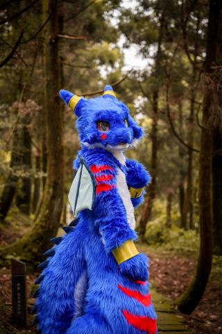 翔宇攝影商行 -  翔宇攝影商行 -