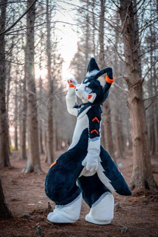 翔宇攝影商行 -  翔宇攝影商行 -