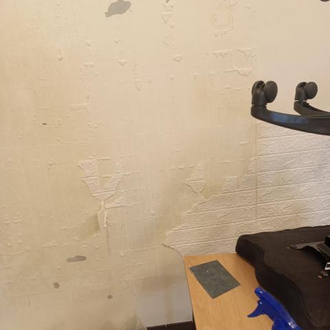 沛城室內設計工程行 - 