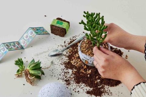 YU見設計 - 產品設計：環保植物扭蛋種植過程