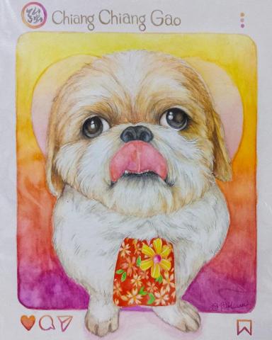 提供動漫avbb服務的專家BiHsuan 