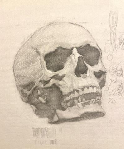 陳韋辰 - 【常態班-初階素描】頭骨示範