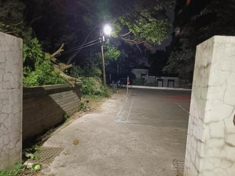 提供割草服務的專家Alan