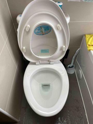 整理收納/居家清潔/無痛打包搬家一條龍服務 - 