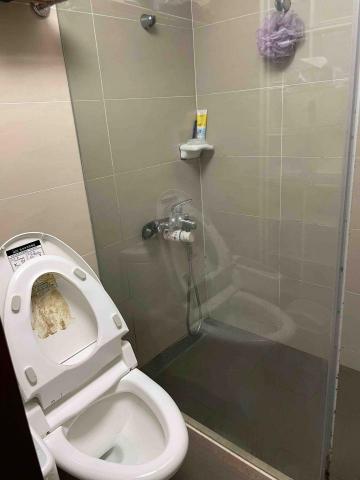 整理收納/居家清潔/無痛打包搬家一條龍服務 - 