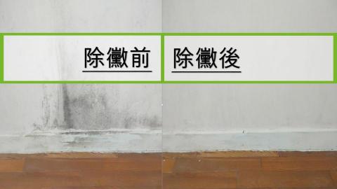 奧麗維亞皇家清潔 - 牆壁黴菌,也藉由除黴清潔劑移除,輕易的達到牆壁淨白的效果。 奧麗維亞皇家清潔 - 牆壁黴菌,也藉由除黴清潔劑移除,輕易的達到牆壁淨白的效果。