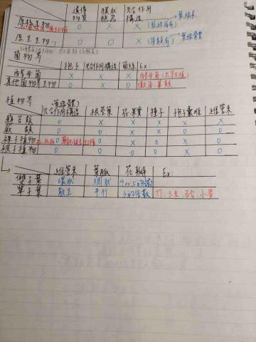 台北超峰自然名師團隊、 新竹光與言教育團隊-蕭茂 - 