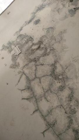 王依婷油漆團隊 - 案13施工前