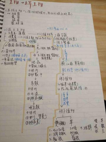 台北超峰自然名師團隊、 新竹光與言教育團隊-蕭茂 - 