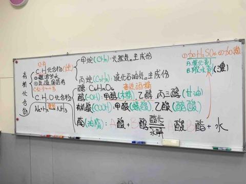 台北超峰自然名師團隊、 新竹光與言教育團隊-蕭茂 - 