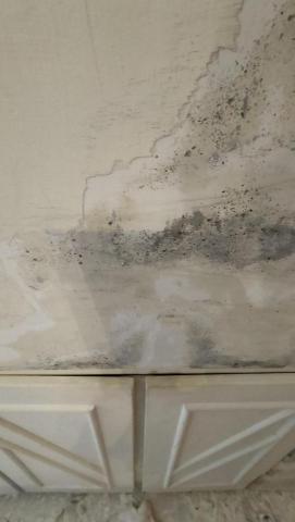 王依婷油漆團隊 - 