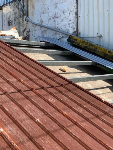 黃肇均 - 屋頂鐵皮翻新