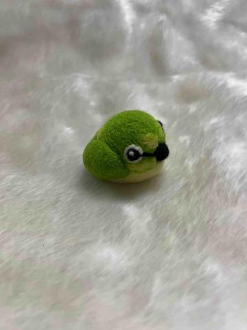 趙芳儀 - 綠繡眼