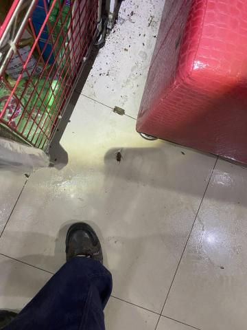 威肯環境有限公司 - 餐飲店除蟑1