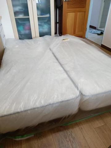 個人工作室 - tree 個人工作室 - tree