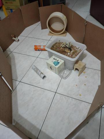 阿禎工作室 - 無法逃脫的放風區