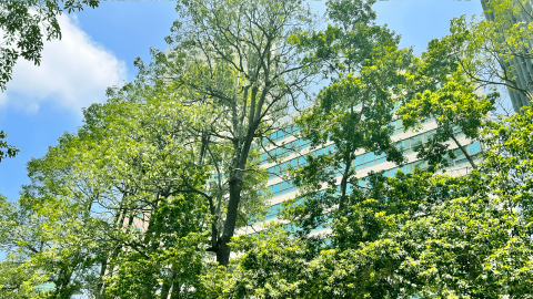 思想聯合數位設計 - 公司所在建物外觀