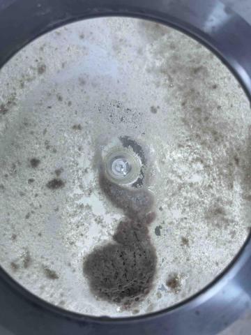 黑蟎居家清潔 - 