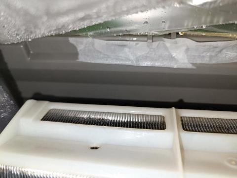 個人工作室 - tree 個人工作室 - tree