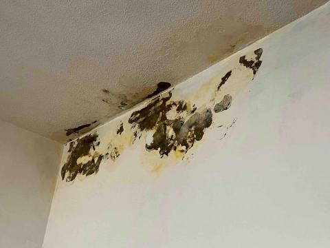 𧙗惠專業抓漏工程 - 