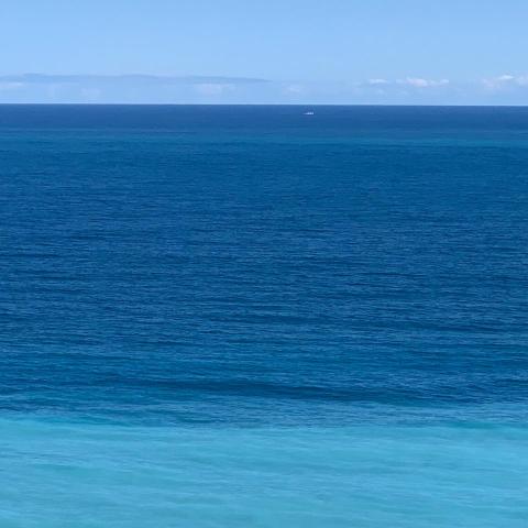 提供越南語檢定服務的專家Demi