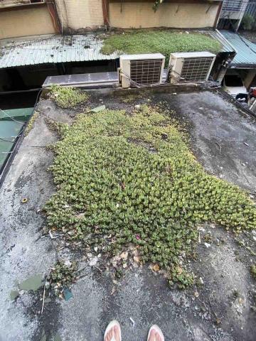 力矩工程 - 屋頂防水施作前