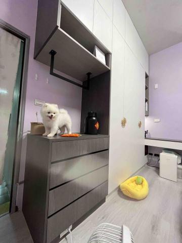 允崴工程行 -  允崴工程行 -