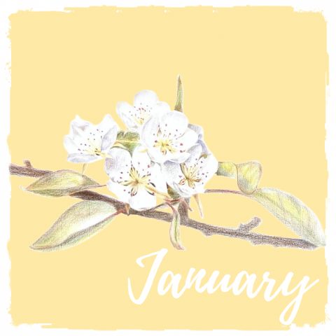 個人工作室 - 受邀將圖畫製成卡片、杯墊