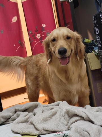 黃筱奇 - 活潑親人剛滿一歲的黃金妹妹