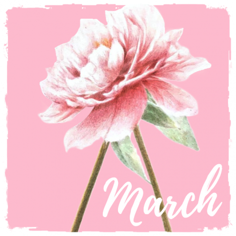 個人工作室 - 受邀將圖畫製成卡片、杯墊