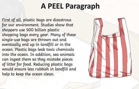 Moffett inAustralia - The trick to constructing your paragraph! 