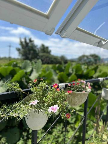 愛是設計 Iris Design - 窗外後露台延伸