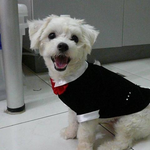 提供寄養家庭服務的專家Wang Evilang