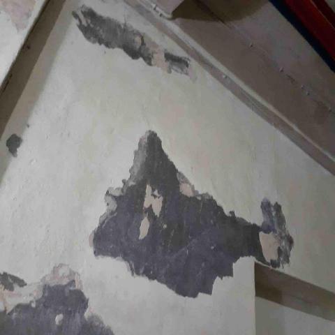 聖意防水工程 - 壁癌處理