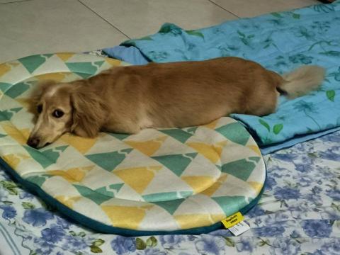 全芳居家生活 - 