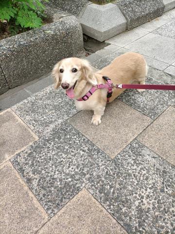 全芳居家生活 - 