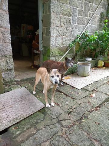 全芳居家生活 - 