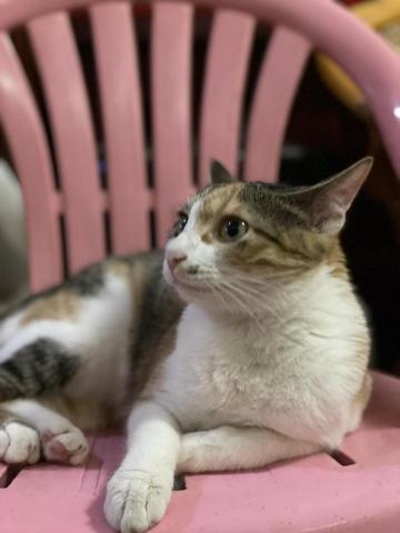 全芳居家生活 - 