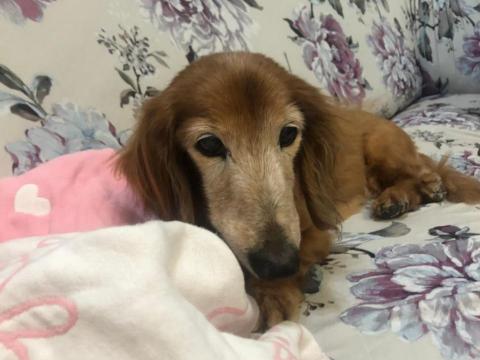 全芳居家生活 - 