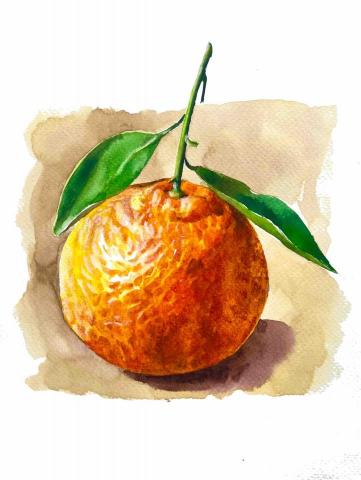 佐森美學 TheForest Art Stu. - 水彩橘子