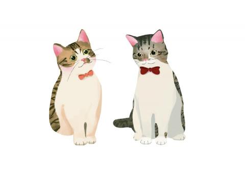 nozomii - 動物插畫 / 2023 nozomii - 動物插畫 / 2023