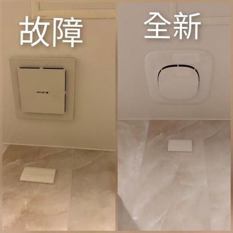 楊裕麒 -  楊裕麒 -